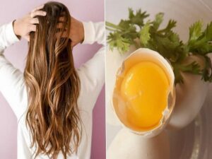 ماسک‌های خانگی برای تقویت ریشه مو و جلوگیری از ریزش