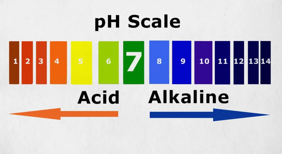 ph skin cleanser